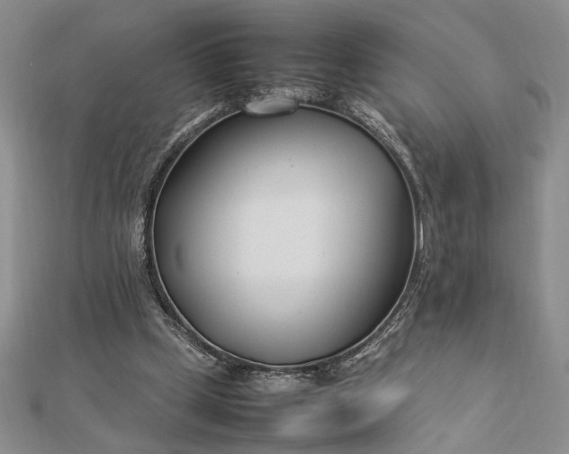 X0000112790249200909041418