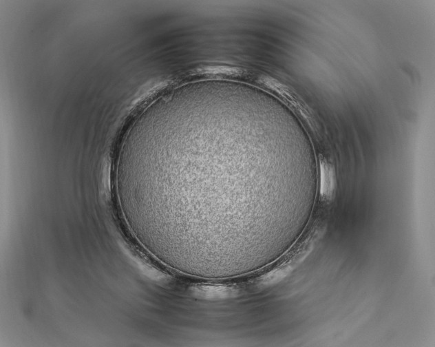 X0000112790253200909041418