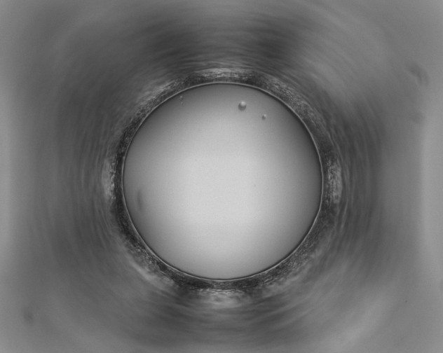 X0000112790255200909041418