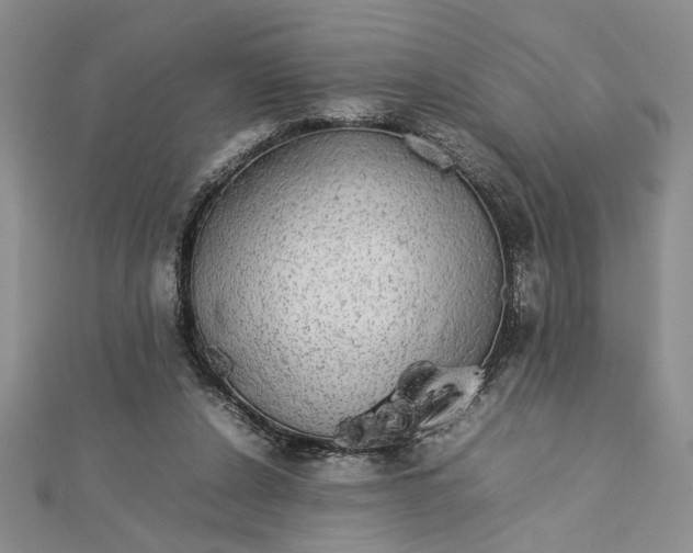 X0000112790256200909041418