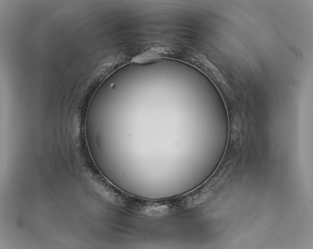 X0000112790257200909041418