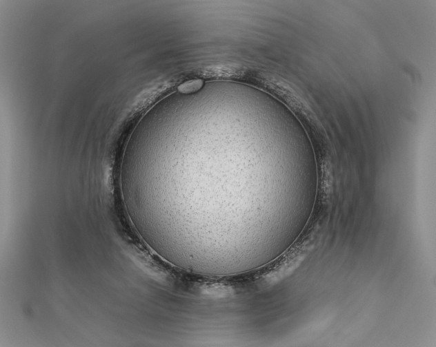 X0000112790258200909041418