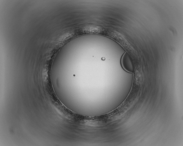 X0000112790259200909041418