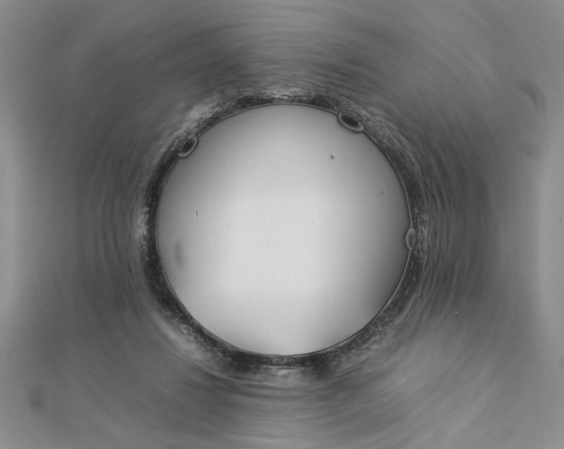 X0000112790260200909041418