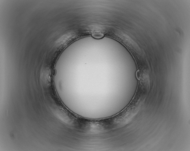 X0000112790264200909041418