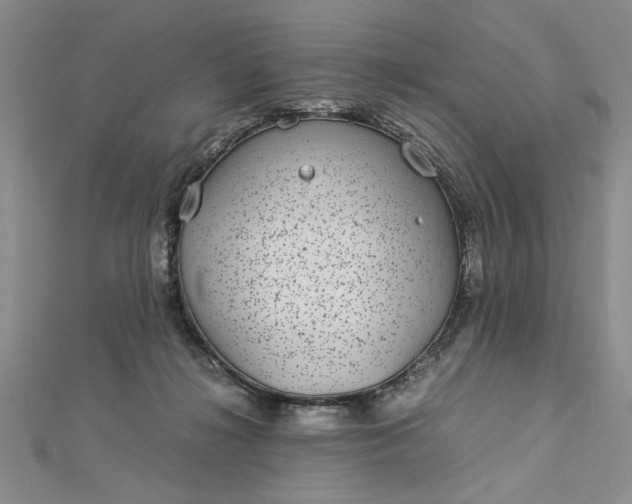 X0000112790268200909041418