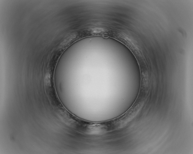 X0000112790269200909041418