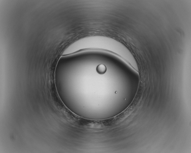 X0000112790272200909041418