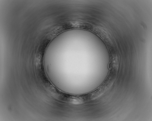 X0000112790275200909041418