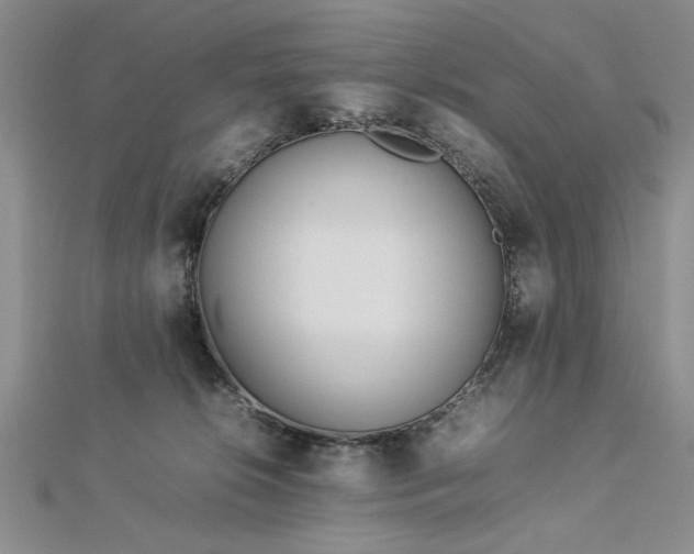 X0000112790276200909041418