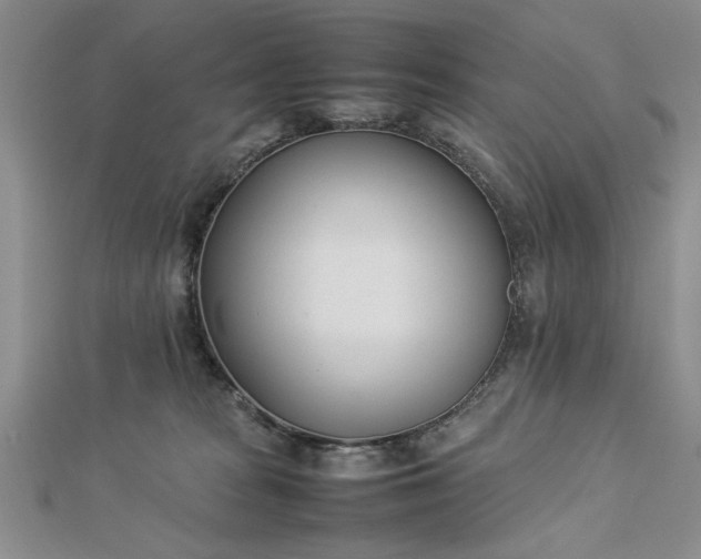 X0000112790277200909041418