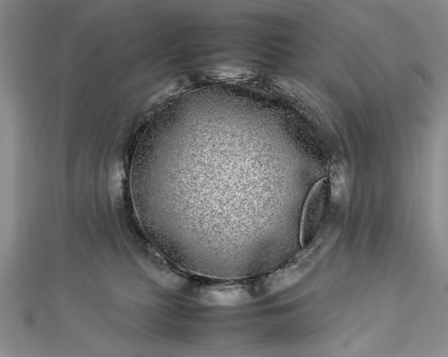 X0000112790279200909041418