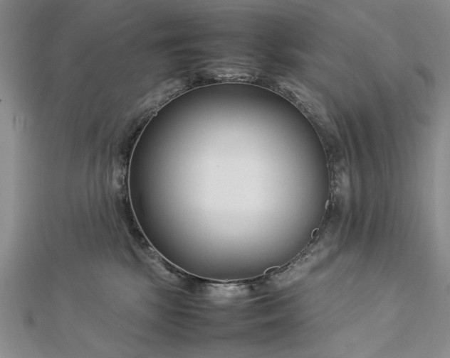 X0000112790281200909041418