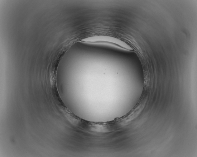 X0000112790285200909041418