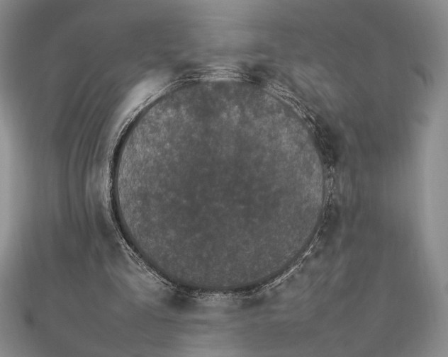 X0000112790293200909041418