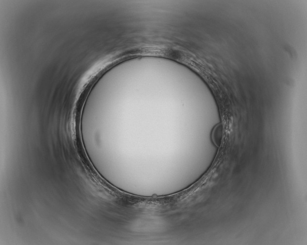 X0000112790294200909041418