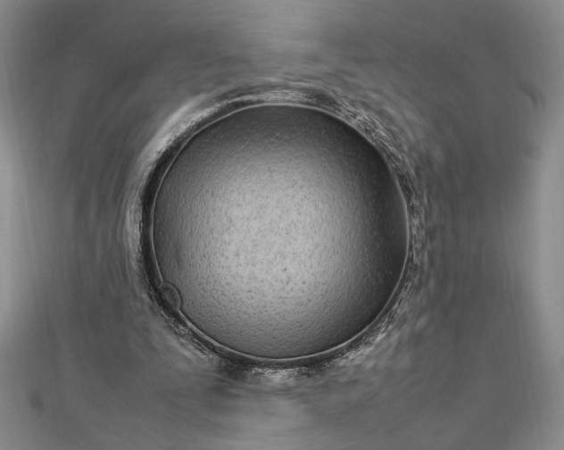 X0000112790295200909041418