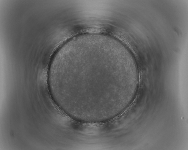 X0000112790297200909041417