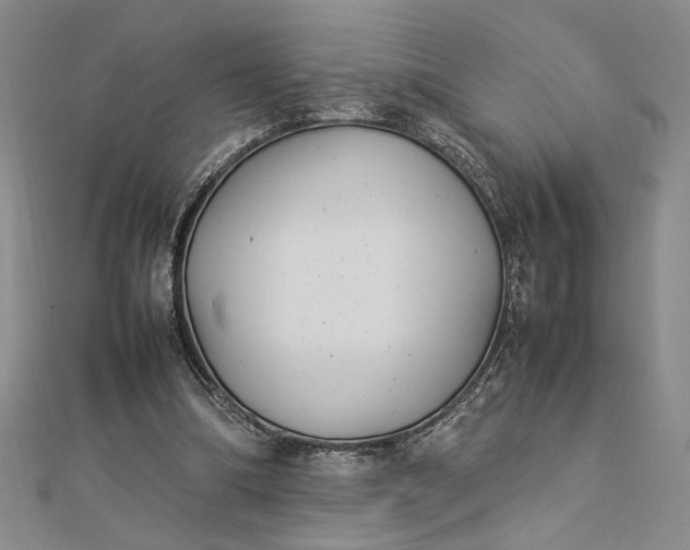 X0000112790298200909041417