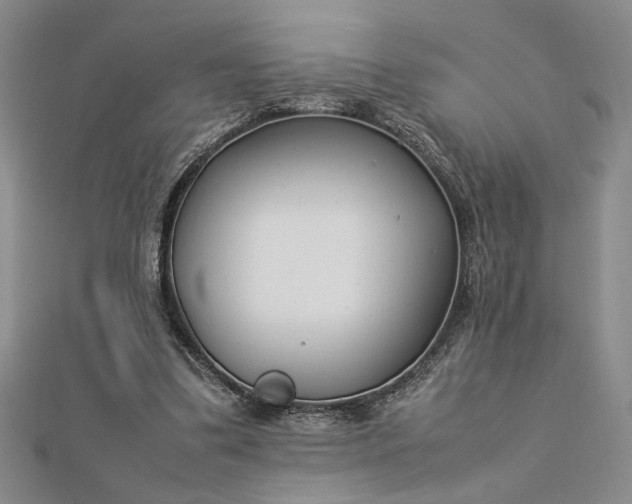 X0000112790299200909041417