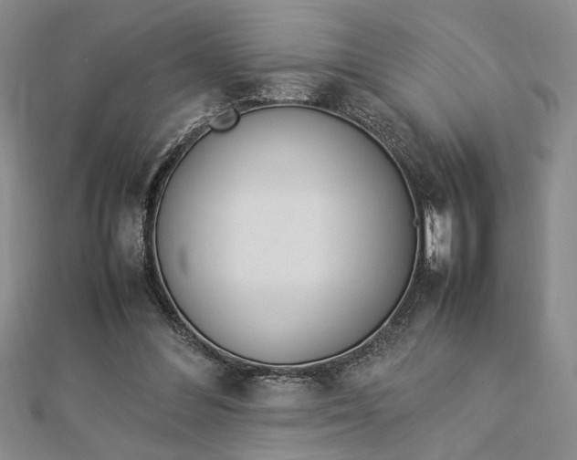 X0000112790300200909041417