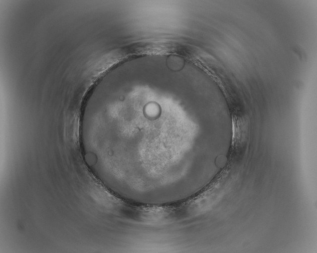 X0000112790301200909041417