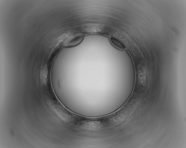 X0000112790304200909041417