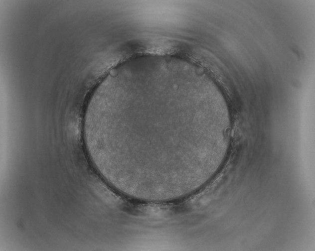 X0000112790305200909041417