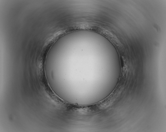 X0000112790306200909041417