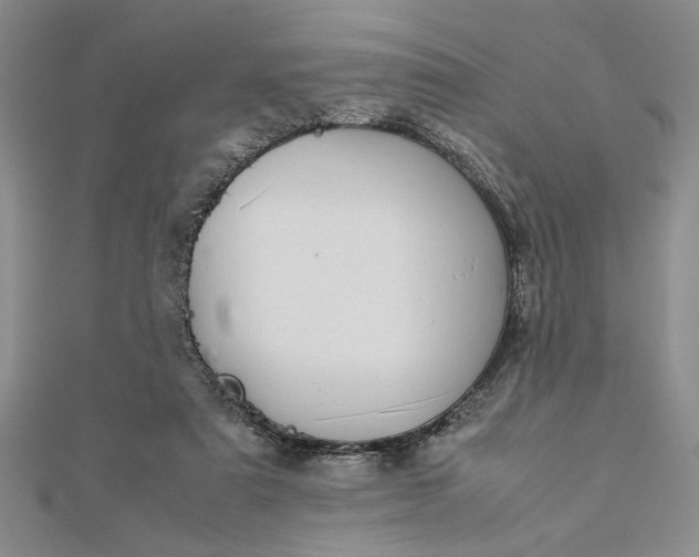 X0000112790307200909041417