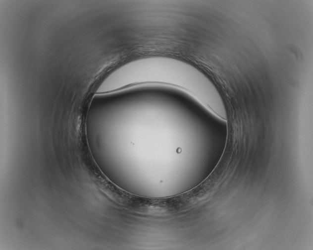 X0000112790308200909041417