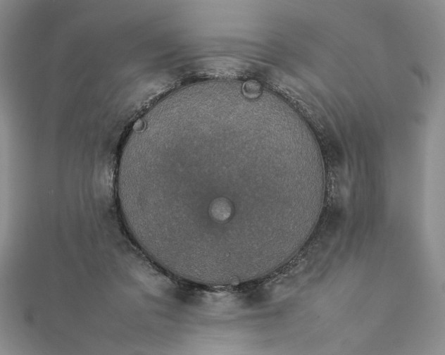 X0000112790309200909041417