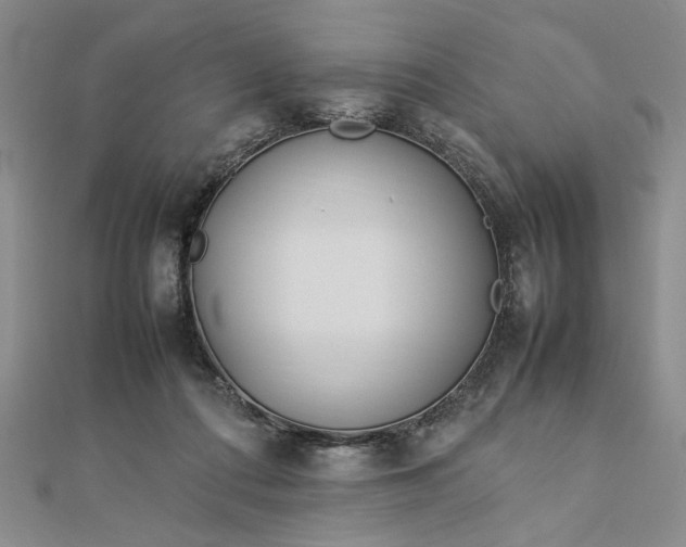 X0000112790312200909041417