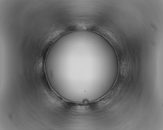 X0000112790314200909041417