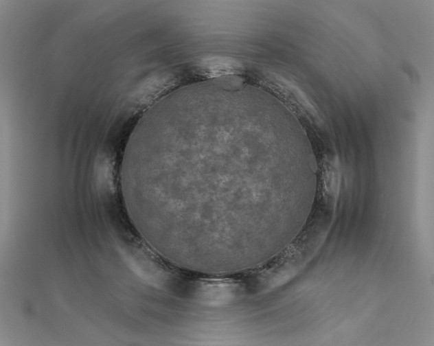 X0000112790316200909041417