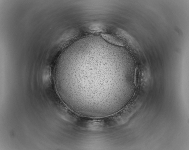 X0000112790320200909041417