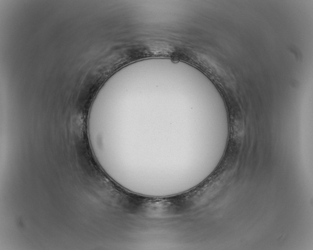 X0000112790321200909041417