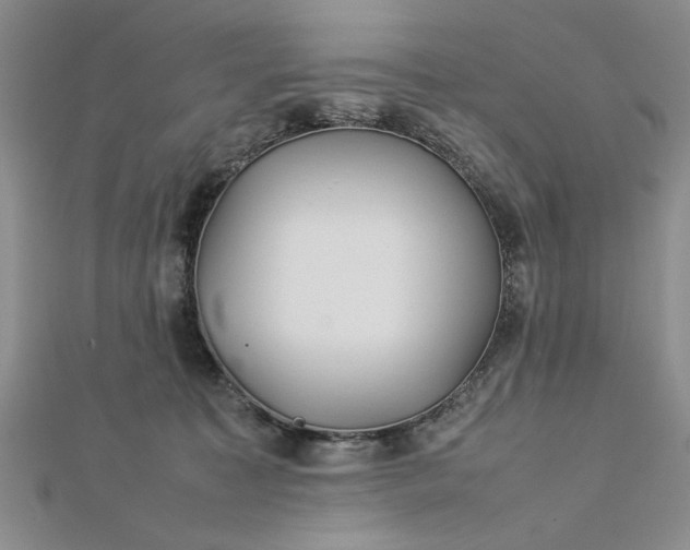 X0000112790323200909041417