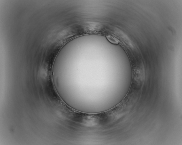 X0000112790324200909041417