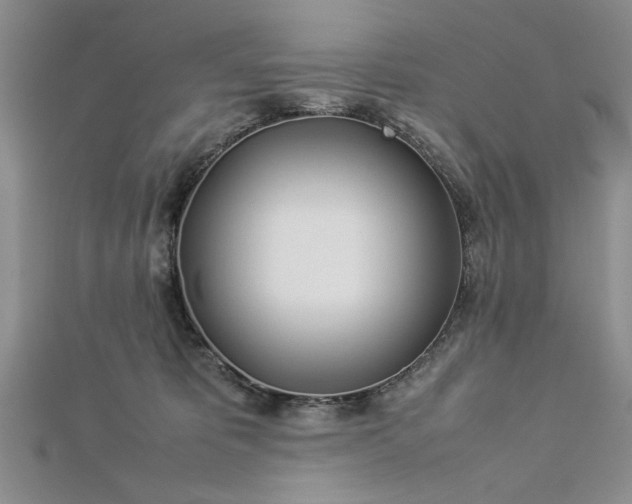 X0000112790325200909041417