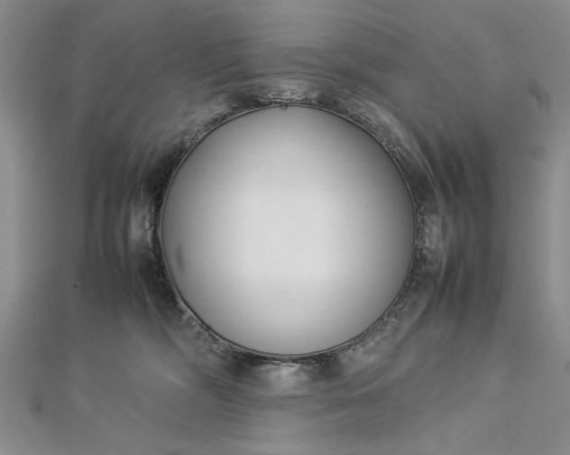 X0000112790326200909041417