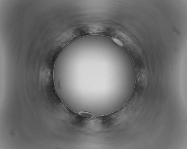 X0000112790327200909041417