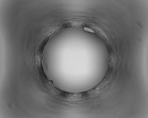 X0000112790329200909041417