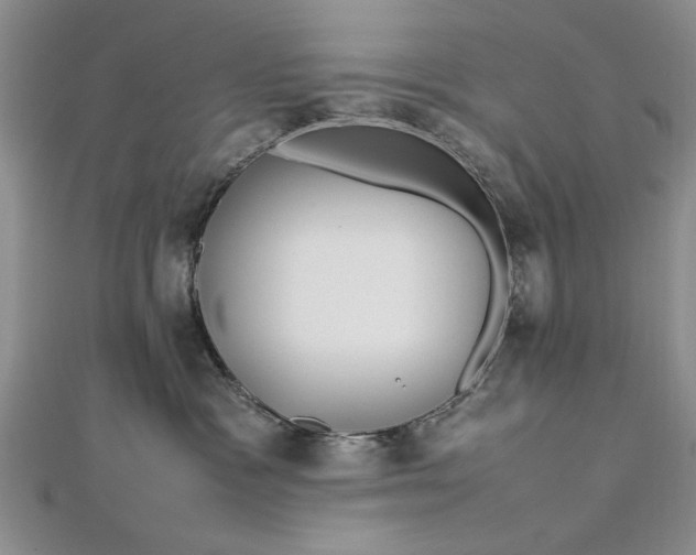 X0000112790333200909041417