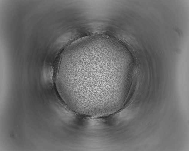 X0000112790336200909041417