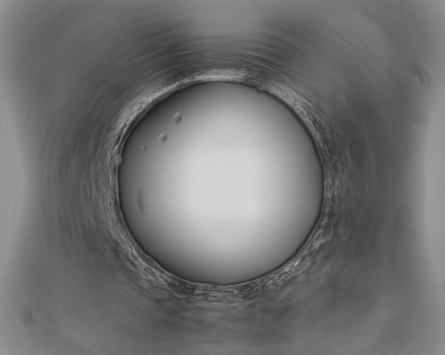 X0000112790337200909041416