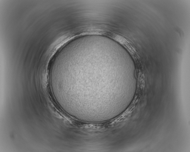 X0000112790338200909041416