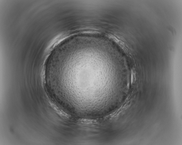 X0000112790339200909041416