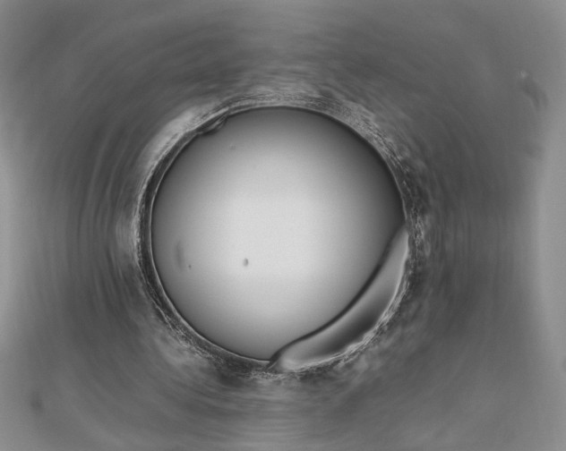 X0000112790340200909041416