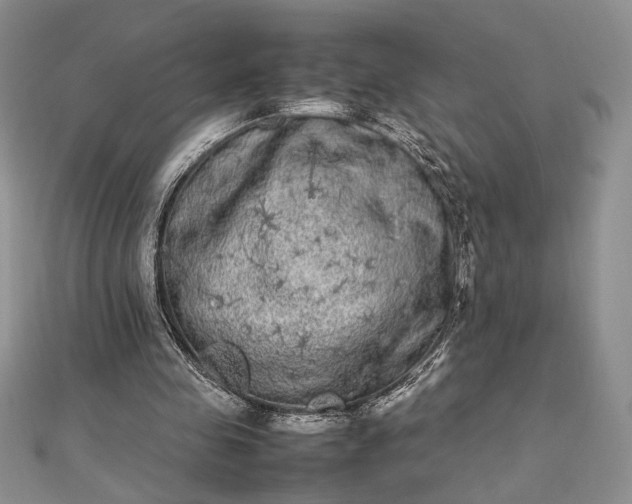 X0000112790341200909041416